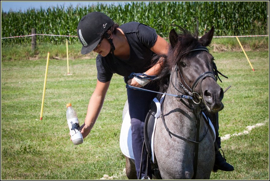 Mounted Games 078